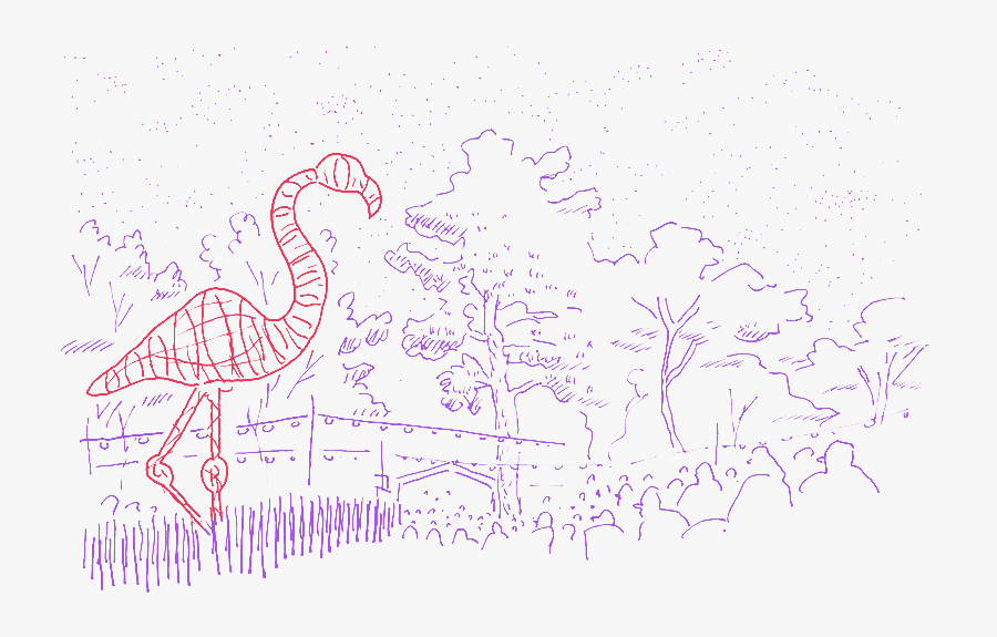 Greater Flamingo, Transparent Clipart