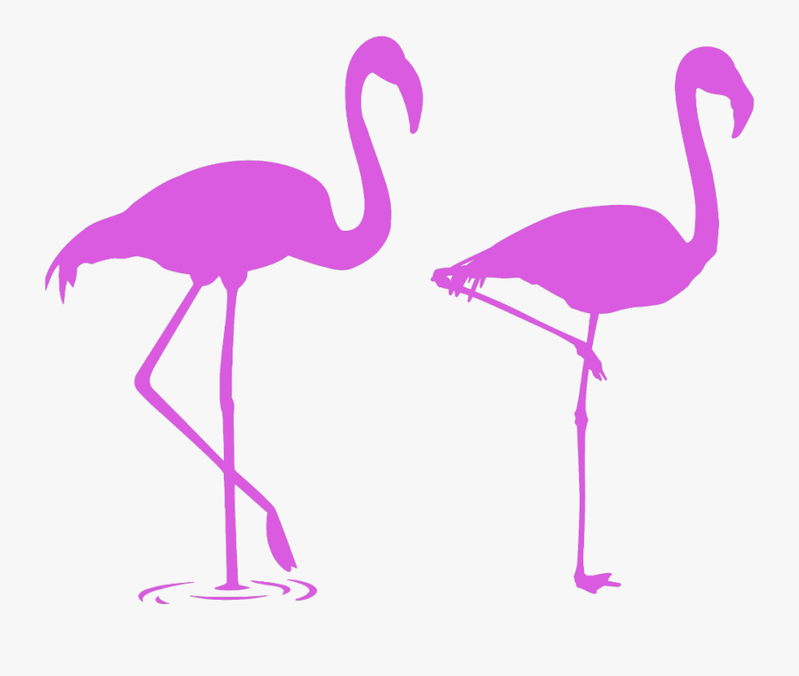 Transparent Pink Flamingo Png - Flamingo Silhouette Hd Png, Transparent Clipart
