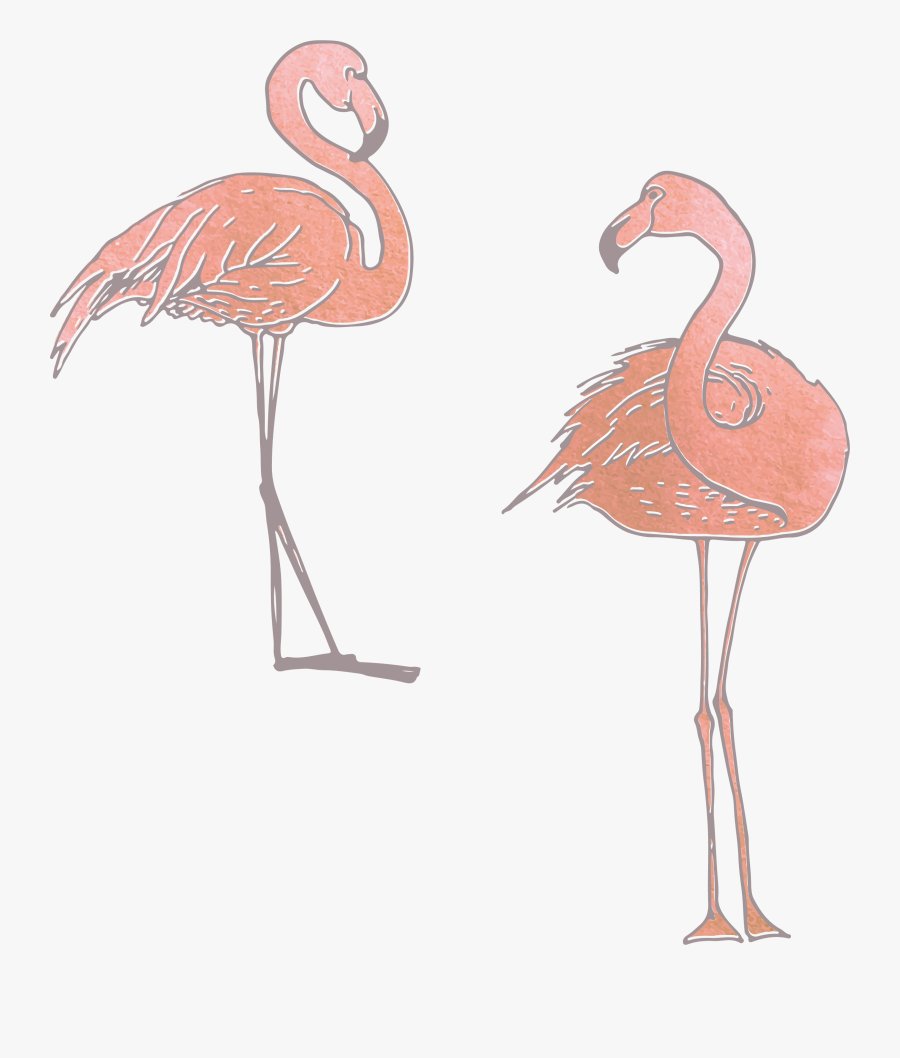 Collection Of Free Flamingo Vector Skeleton - Clip Art, Transparent Clipart