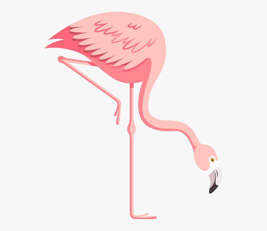 Picture - Greater Flamingo, Transparent Clipart
