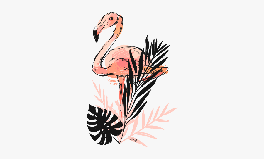 #flamingo #pinkflamingo #leaves #flamingoandleaves - Greater Flamingo, Transparent Clipart