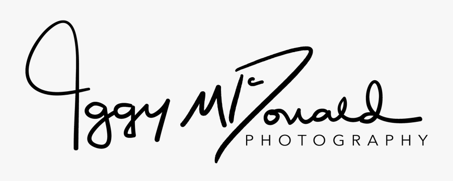 Clip Art Iggy Mcdonald Wedding Photographer - Calligraphy, Transparent Clipart