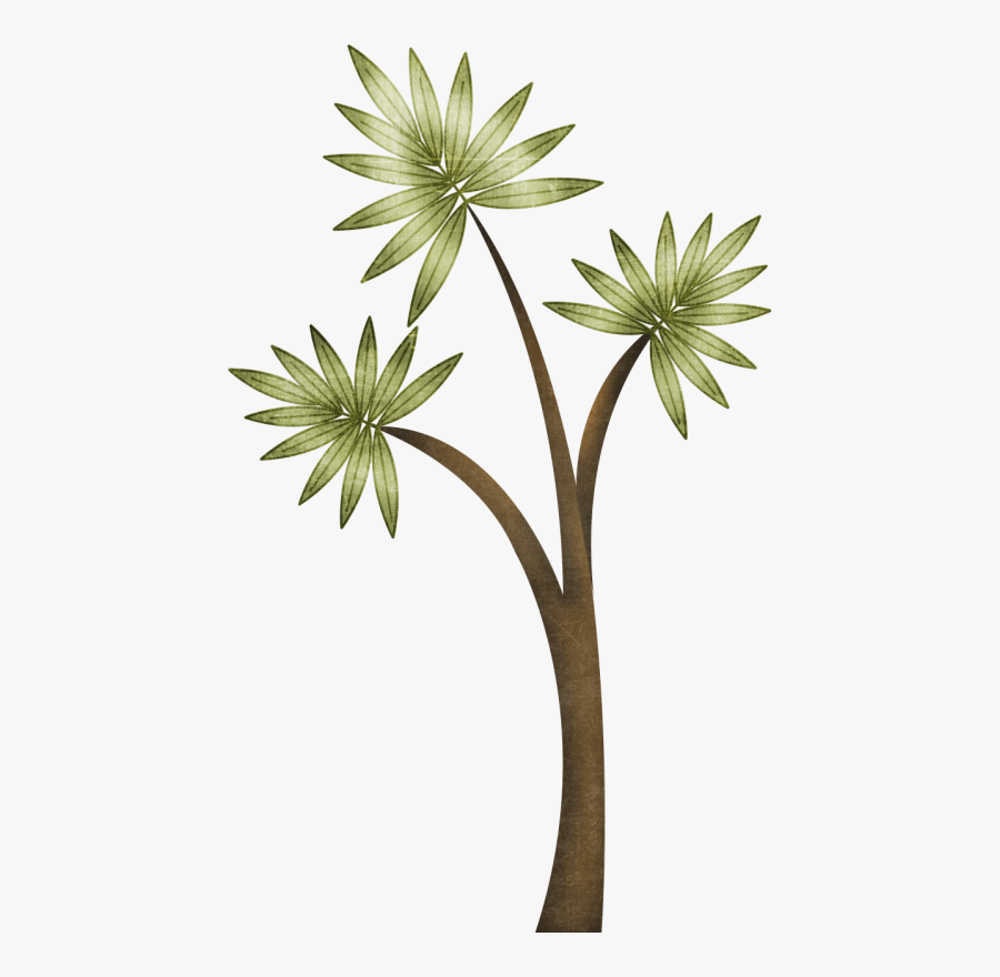 Arboles De La Prehistoria, Transparent Clipart