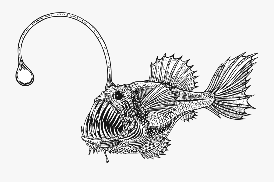 Bony-fish, Transparent Clipart