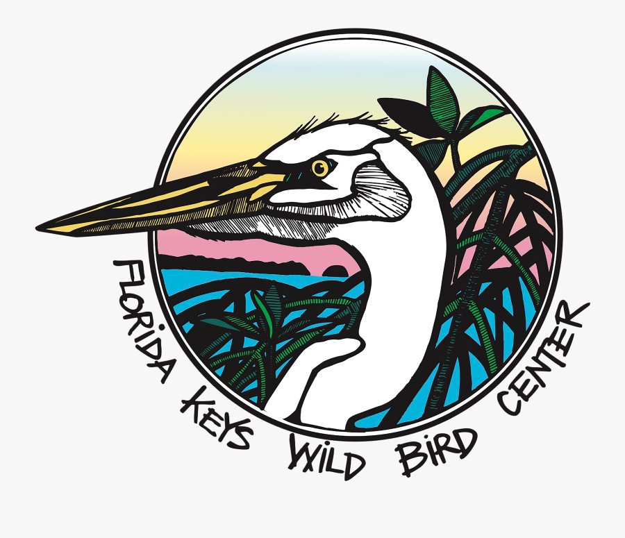 Logo Regular Transparent - Florida, Transparent Clipart