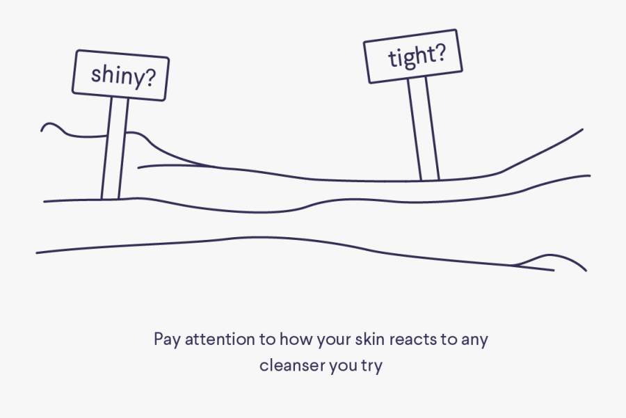 Diagram, Transparent Clipart