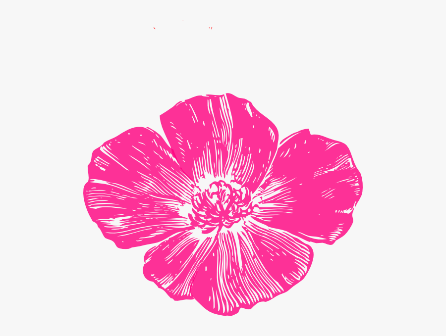 Hot Pink Flowers Png - Golden Poppy Clip Art, Transparent Clipart
