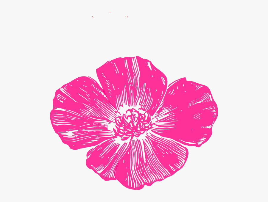 Hot Pink Flowers Png - Golden Poppy Clip Art , Free Transparent Clipart