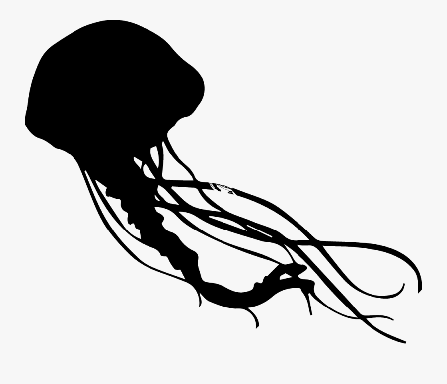 Illustration, Transparent Clipart