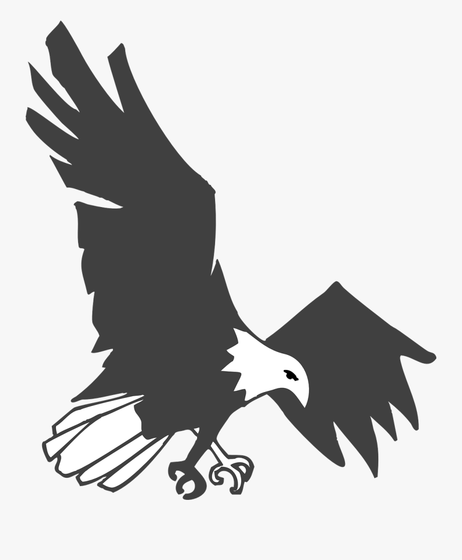 Eagle, Black, White, Bird, Flying, Landing, Stretching - Eagle Bird Images Black And White, Transparent Clipart