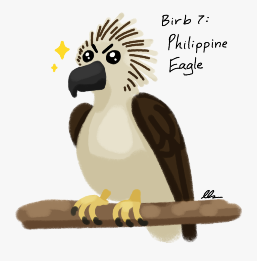 Graphic Black And White Decembirb Philippine Eagle - Parrot, Transparent Clipart