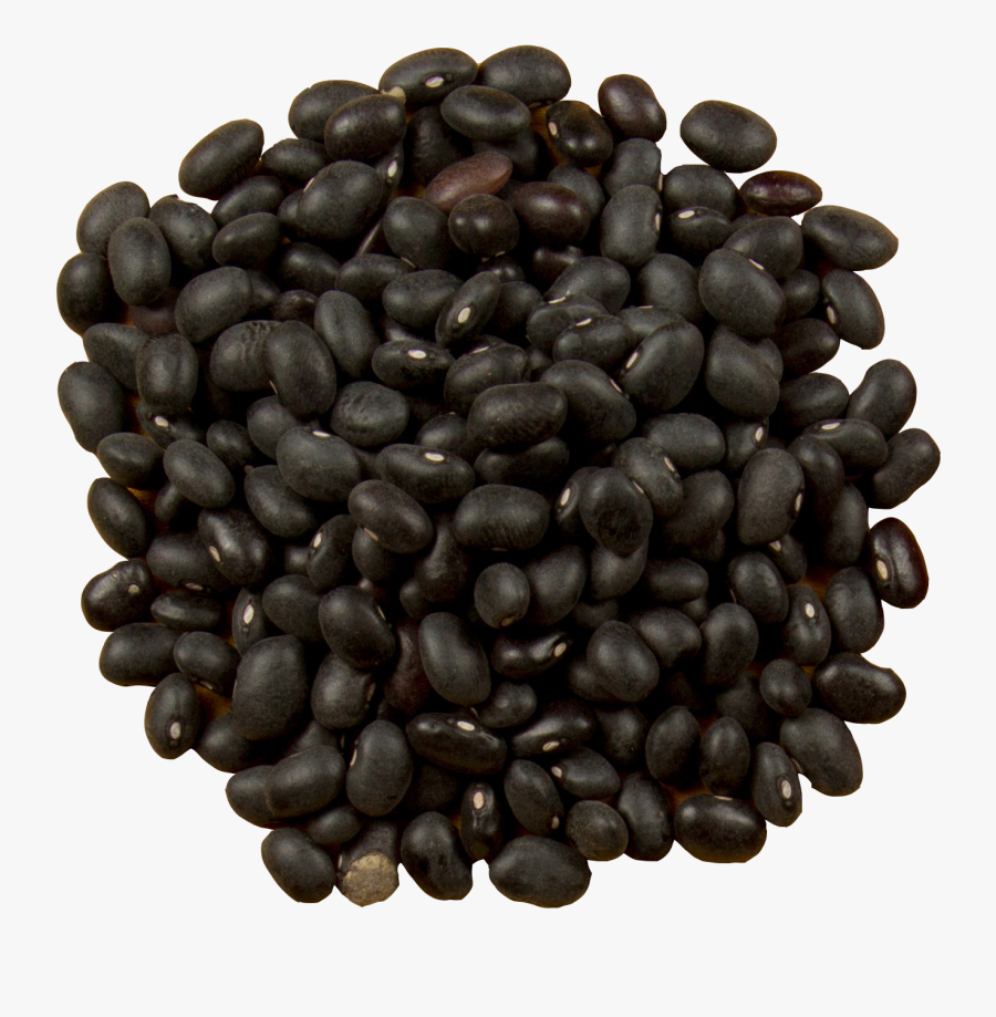 Burrito Black Turtle Bean Food Mrs - Co Co Beans, Transparent Clipart