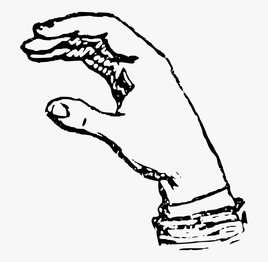 Art,monochrome Photography,carnivoran - Cc Worksheets, Transparent Clipart