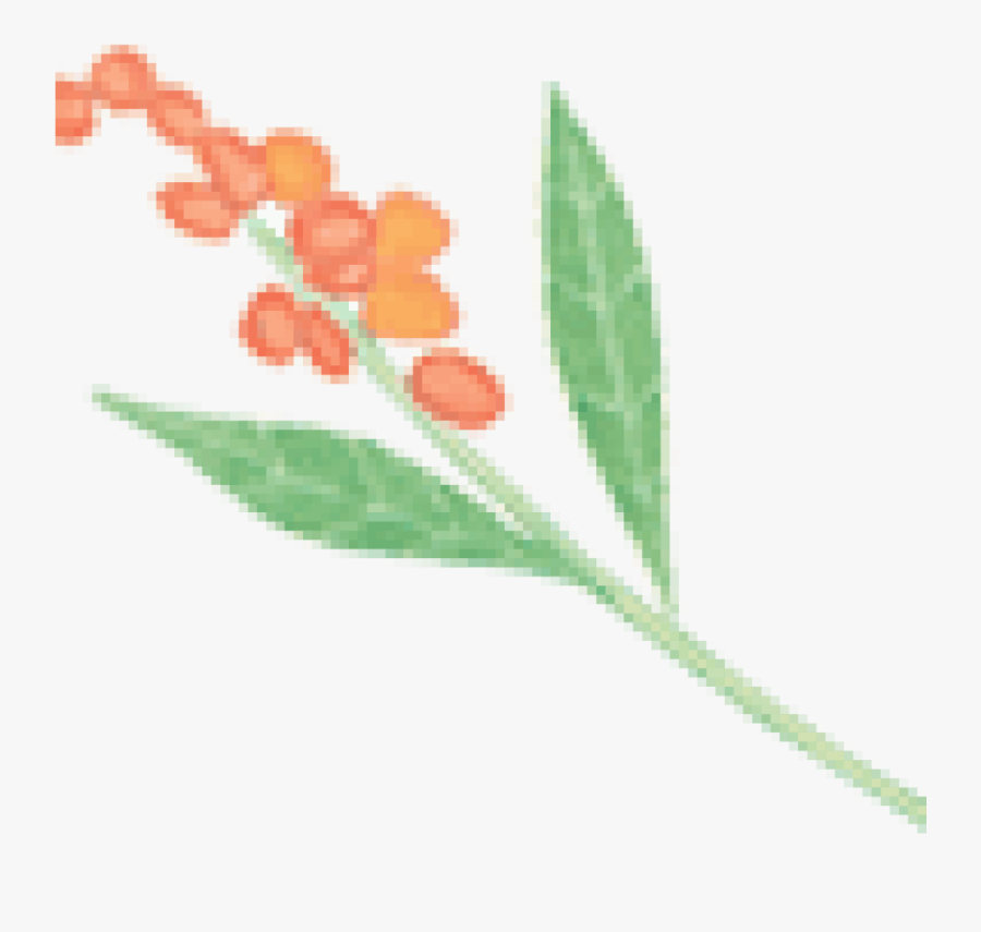 Weeds, Transparent Clipart