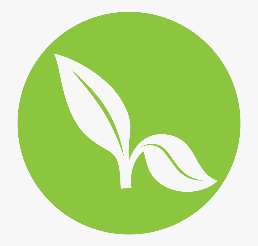 The Benefits Of Green Carpet Cleaning - Icon, Transparent Clipart