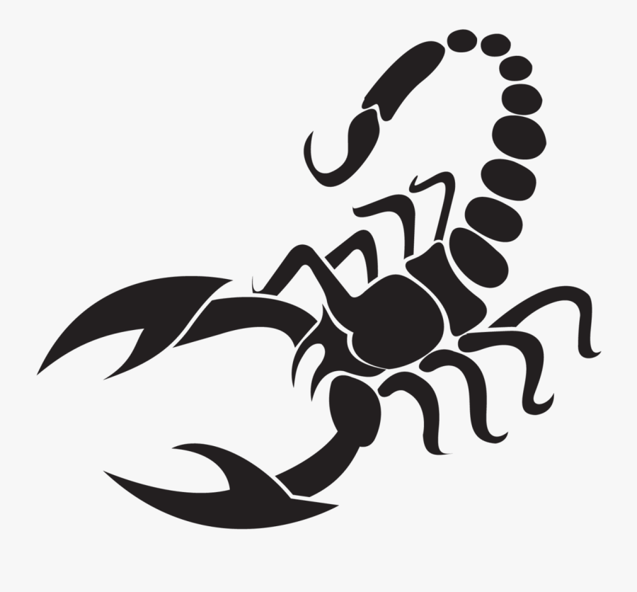Scorpion Sticker Clipart , Png Download - Side View Of A Scorpion Drawing, Transparent Clipart