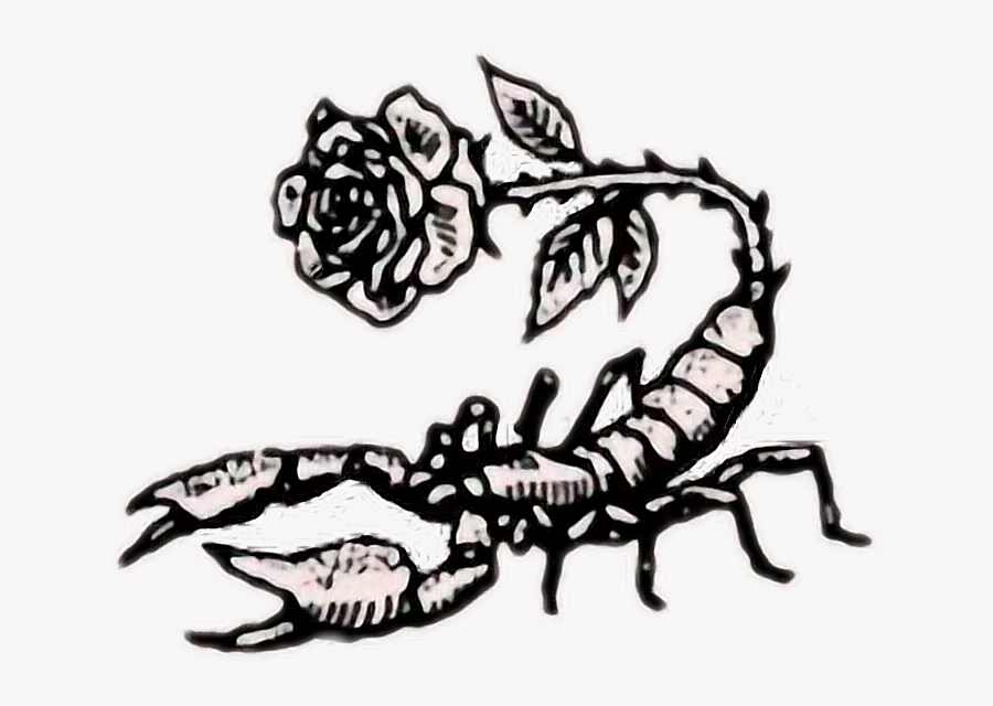 Drawing Scorpions Anime Transparent Png Clipart Free - Scorpion Drawing With A Rose, Transparent Clipart
