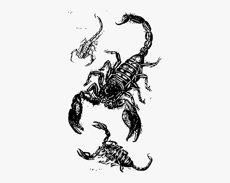 Scorpions - Scorpion Engraving, Transparent Clipart