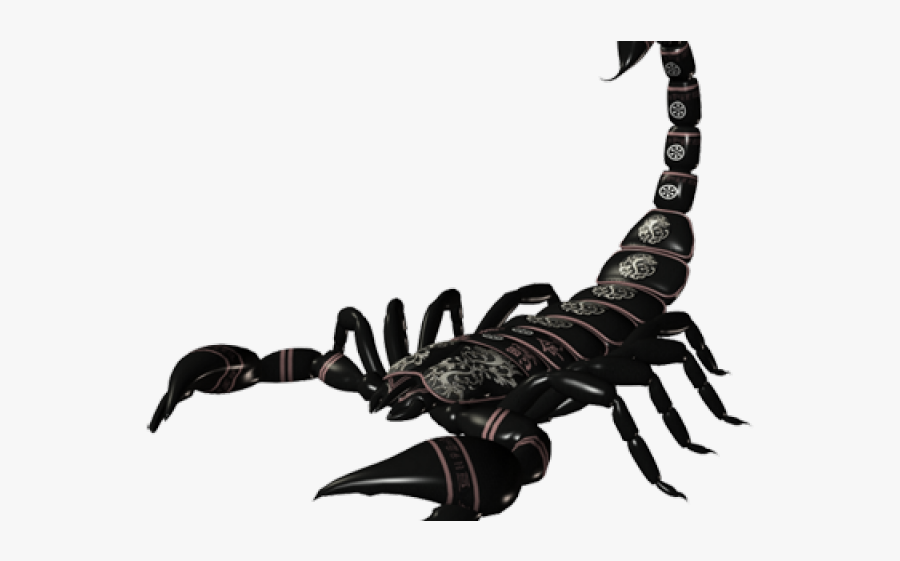 Dj Maphorisa Scorpion Kings, Transparent Clipart
