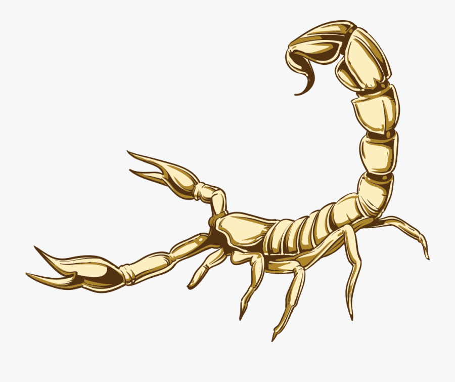 Transparent Scorpio Png - Scorpion Illustration Png, Transparent Clipart