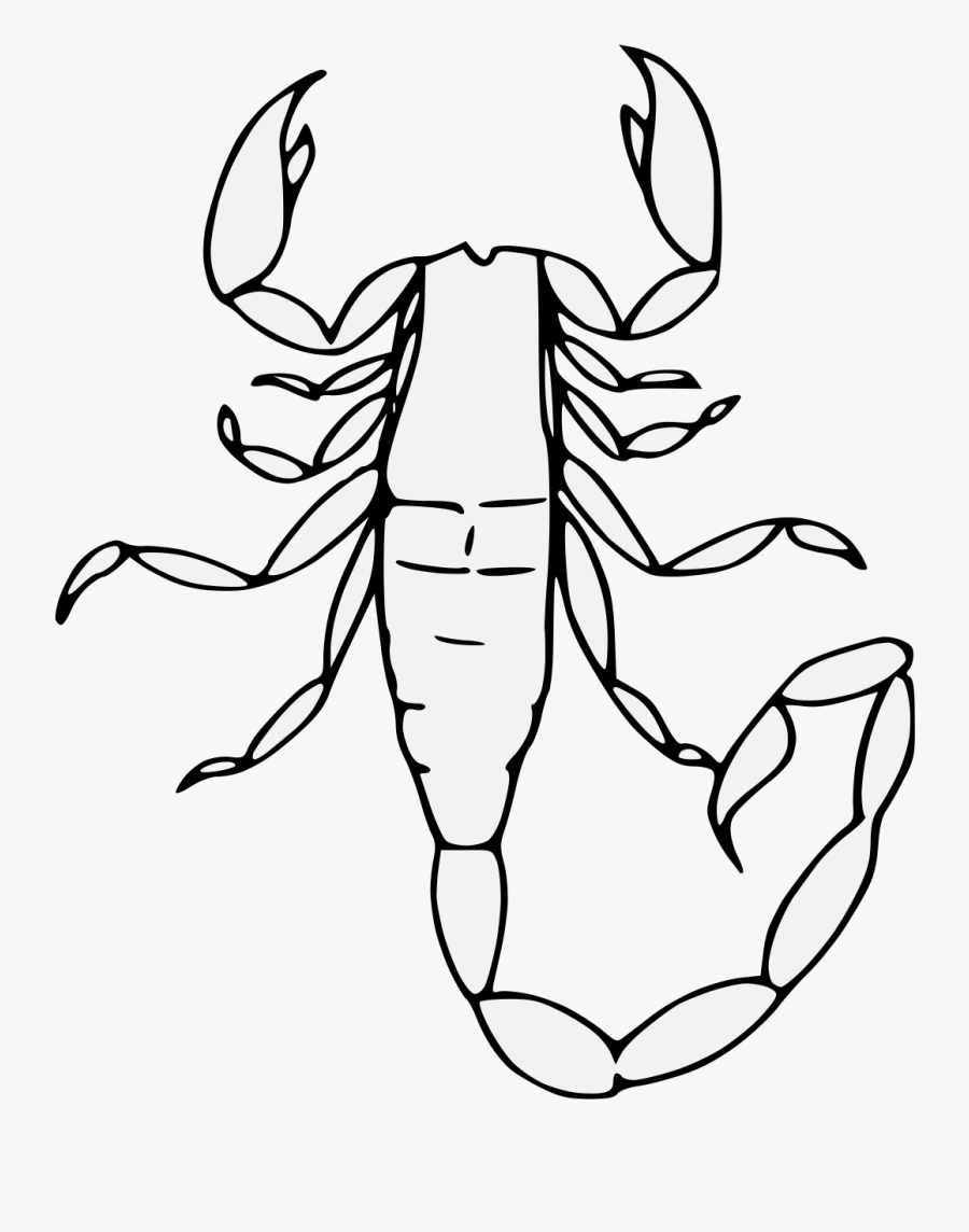 Scorpion Heraldry, Transparent Clipart