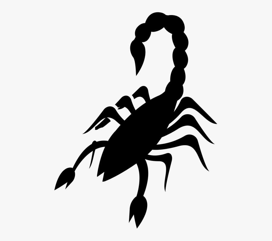 Scorpio, Reptile, Arachnid, Scorpion, Wildlife, Exotic, Transparent Clipart