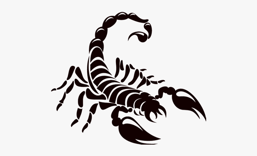 Logo Scorpions Scorpion Drawing Download Hq Png Clipart - Scorpion