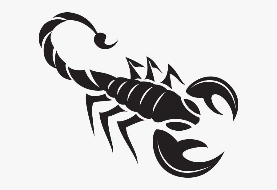 Scorpion Vector, Transparent Clipart