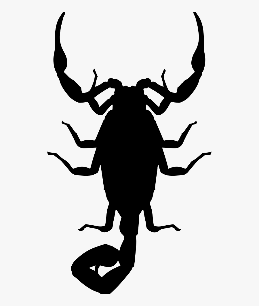 Scorpion Insect Shape - Striped Bark Scorpion Drawing, Transparent Clipart