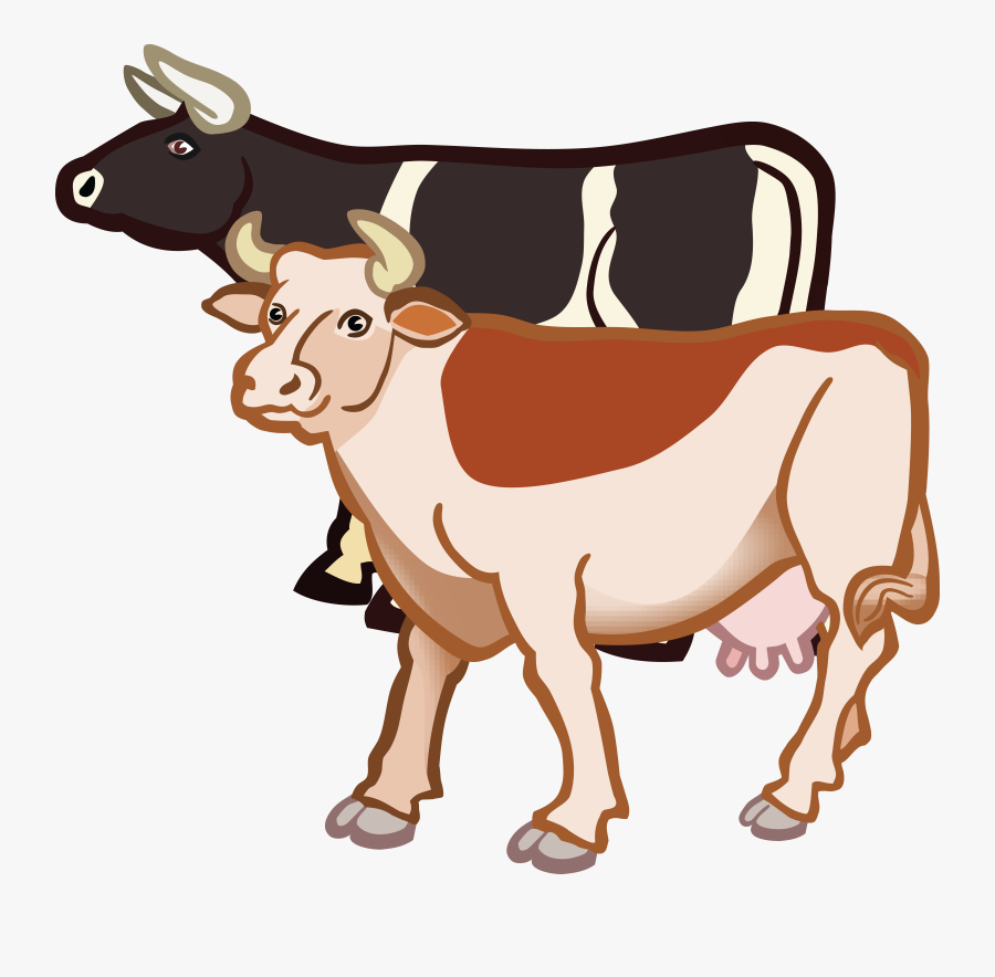 Free Clipart Of A Pair Of Cows - Pair Of Cow Clipart, Transparent Clipart