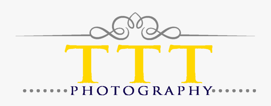 Logo, Transparent Clipart