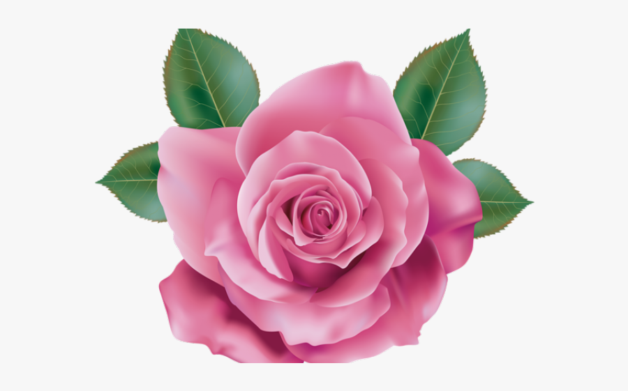 Pink Rose Flower Clipart, Transparent Clipart