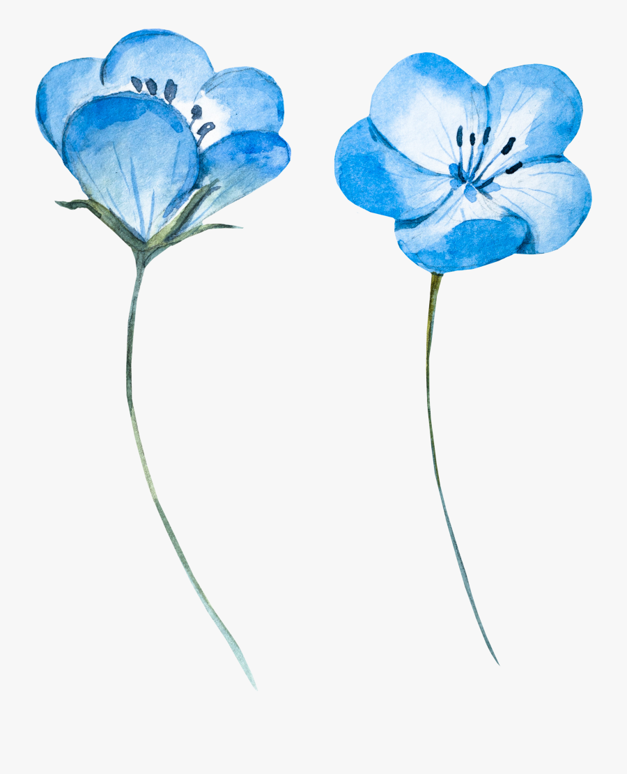 Blue Flower Light Watercolor Flowers Painting Clipart - Watercolor Flower Png Blue, Transparent Clipart