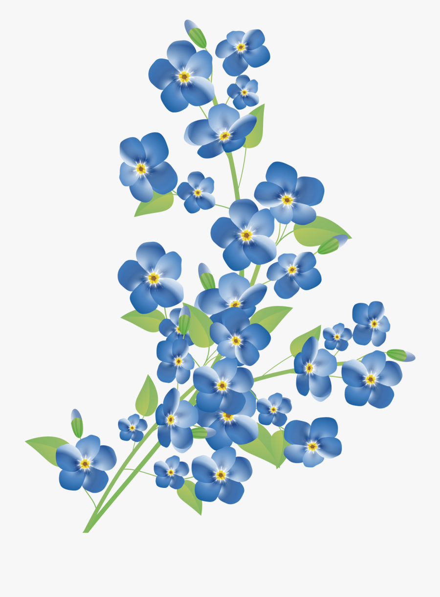 Scorpion Grasses Stock Photography Royalty-free Clip - Forget Me Not Flowers, Transparent Clipart