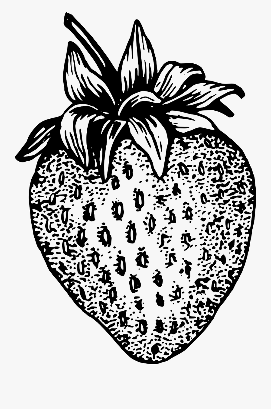 Heart,love,monochrome Photography - Strawberry Black And White, Transparent Clipart