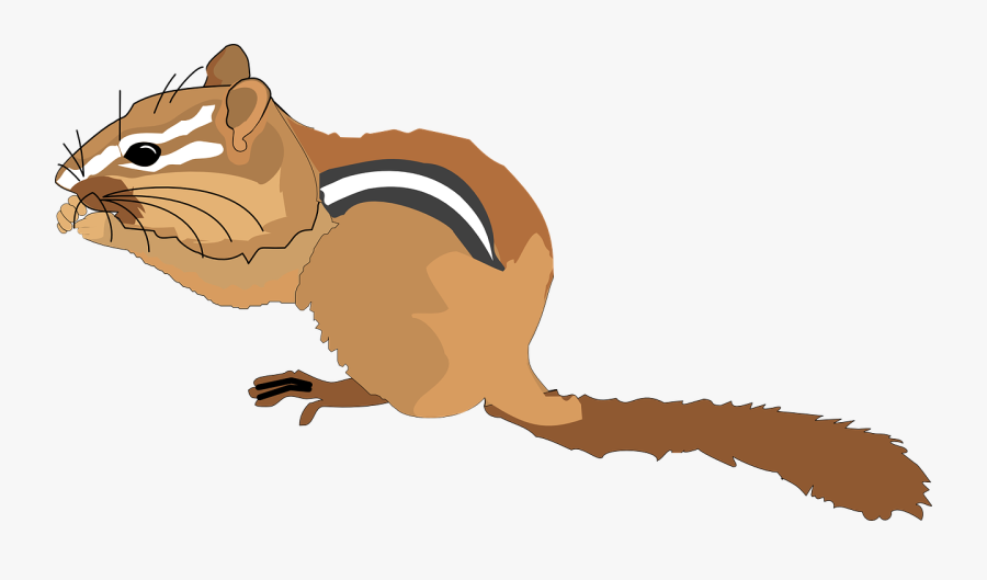 Chipmunk Clipart Small Squirrel - Chipmunk Clip Art, Transparent Clipart