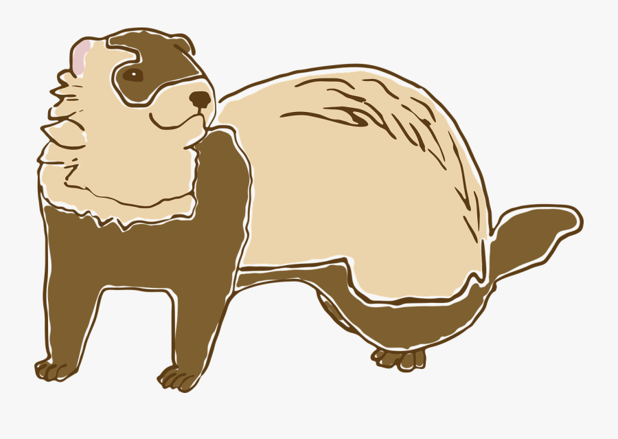Transparent Cute Groundhog Clipart - Cartoon, Transparent Clipart
