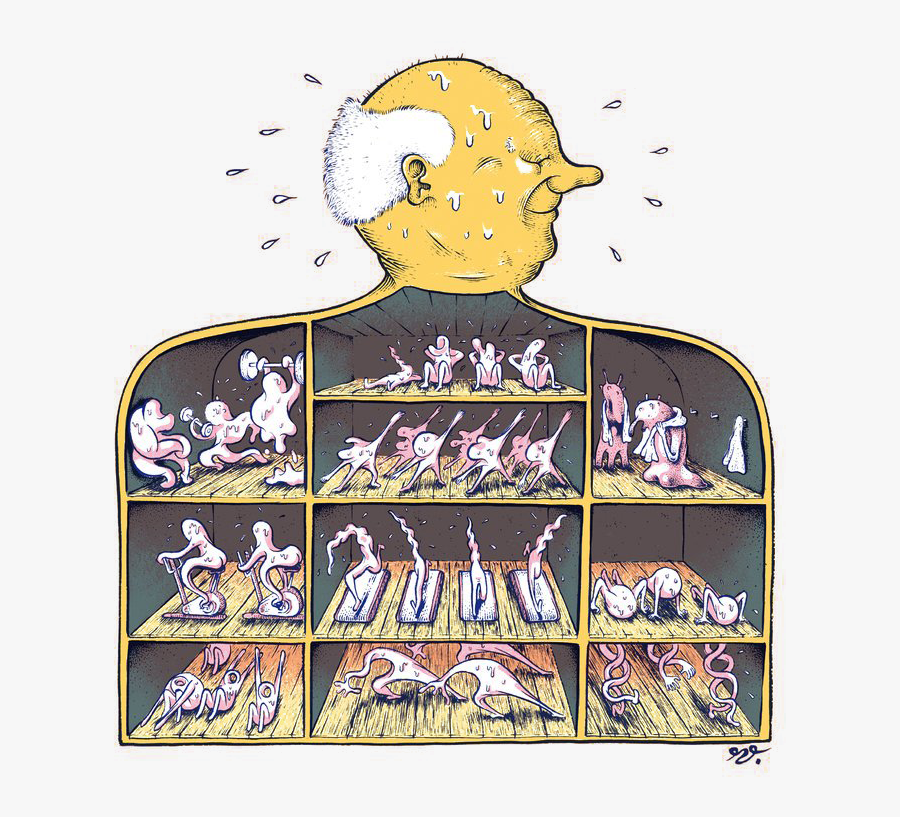 Best Exercises For Aging Muscles - Muscle, Transparent Clipart