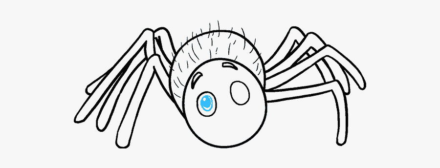 How To Draw Cartoon Spider - Draw A Cartoon Spider, Transparent Clipart