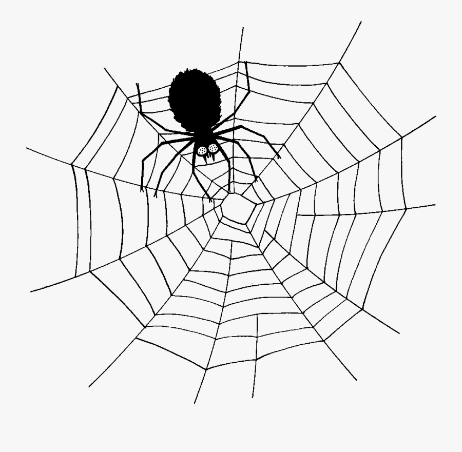 Spider Web Southern Black Widow Clip Art - Vector Spider Man Web, Transparent Clipart