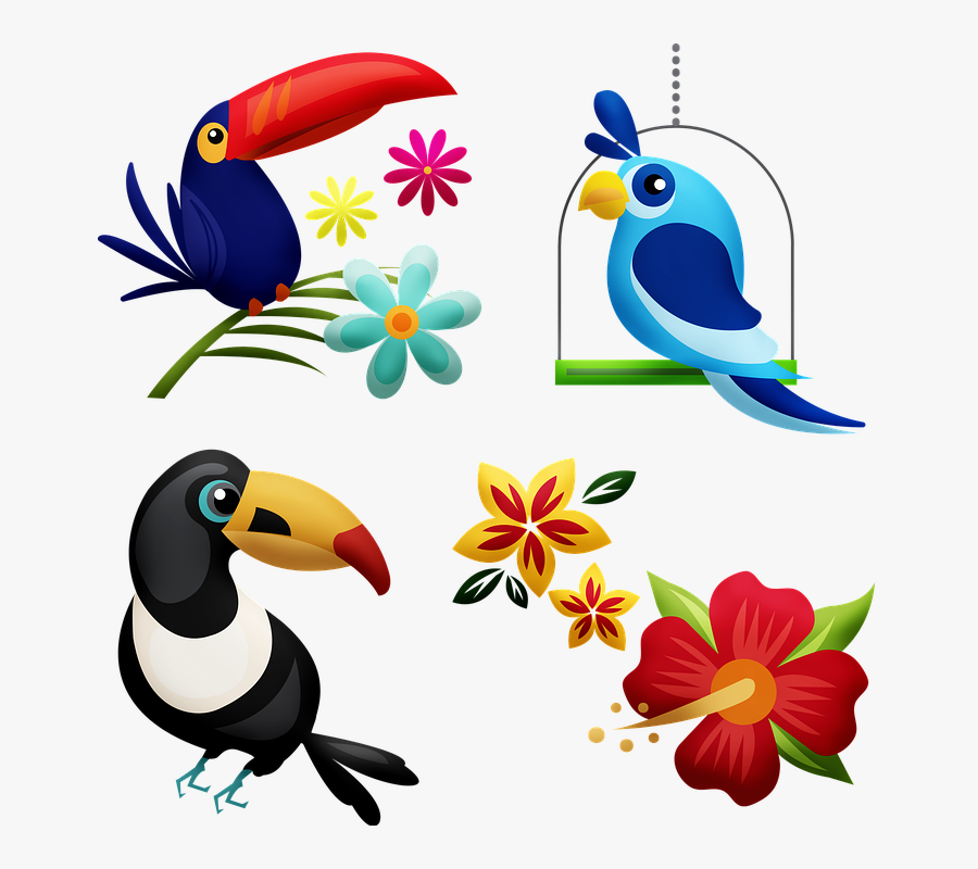 Transparent Rainforest Birds Clipart, Transparent Clipart