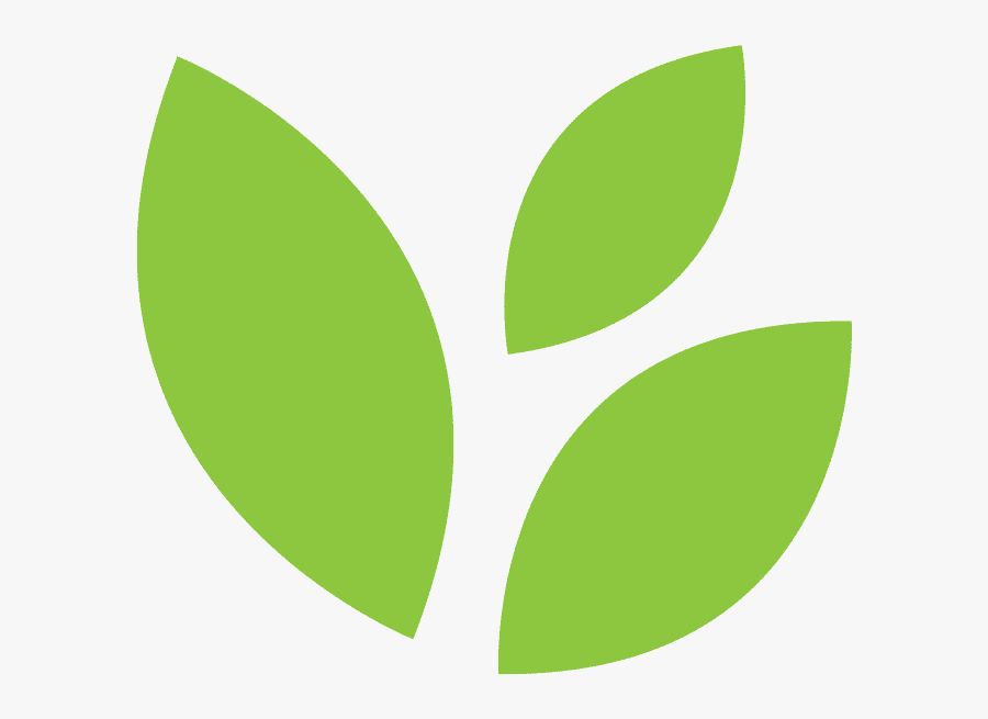 Clipart Leaf - 0 - 0 - Rainforest Journey Life Science - Leaf Png Minimal, Transparent Clipart