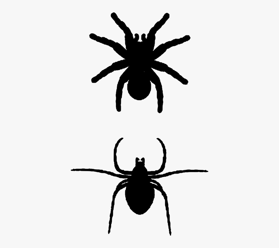 Scalable Vector Graphics, Transparent Clipart