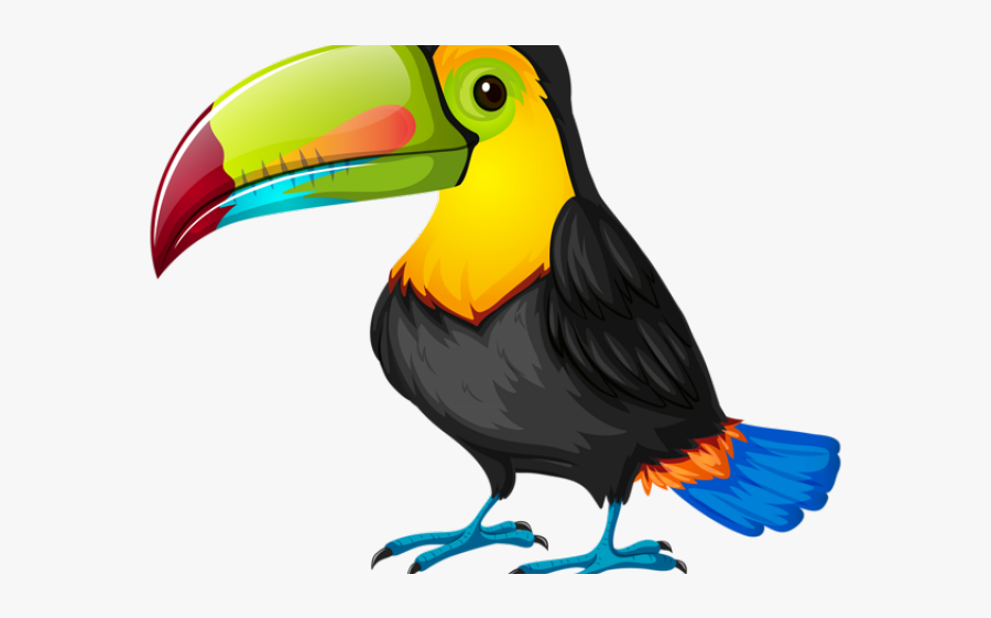 Rainforest Clipart Tucan - Toucan Clipart, Transparent Clipart