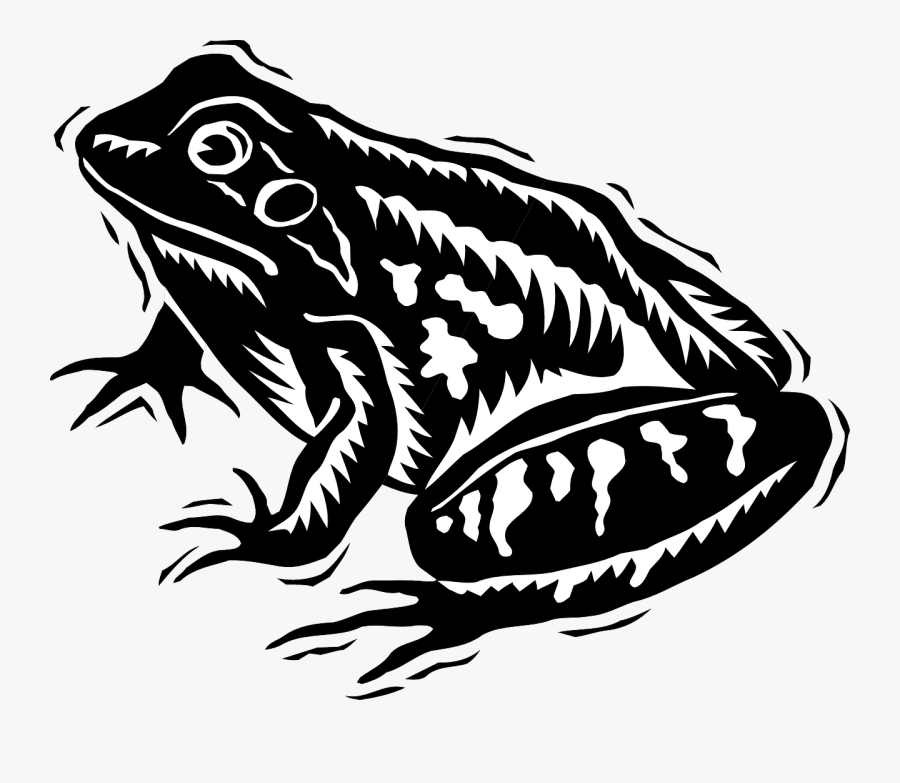 Frog, Amphibian, Rainforest, Jungle, Exotic, Wildlife - Frog Black White Png, Transparent Clipart