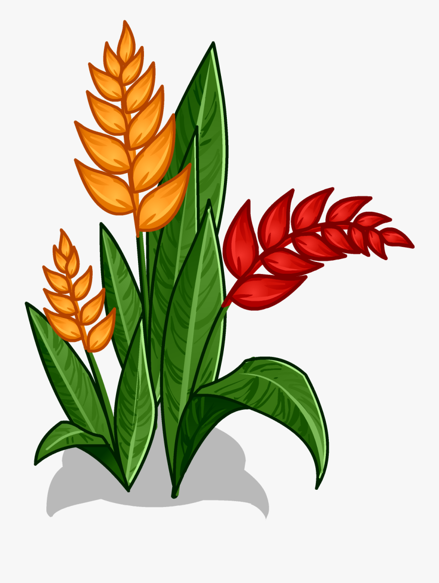 Rainforest Flowers Clipart At Getdrawings - Amazon Rainforest Plants Drawing, Transparent Clipart