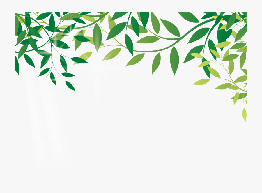 Amazon Rainforest Png File - Amazon Rainforest Frame Transparent, Transparent Clipart