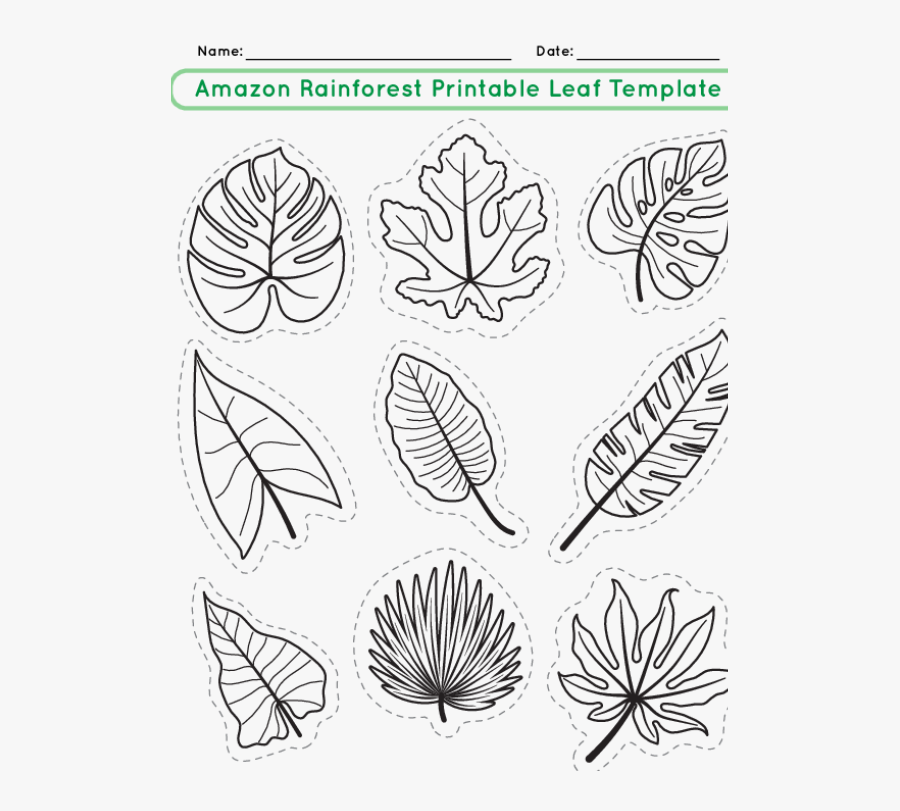 free download, png download , tree, banner, leaves, card, plant, abstract, ...