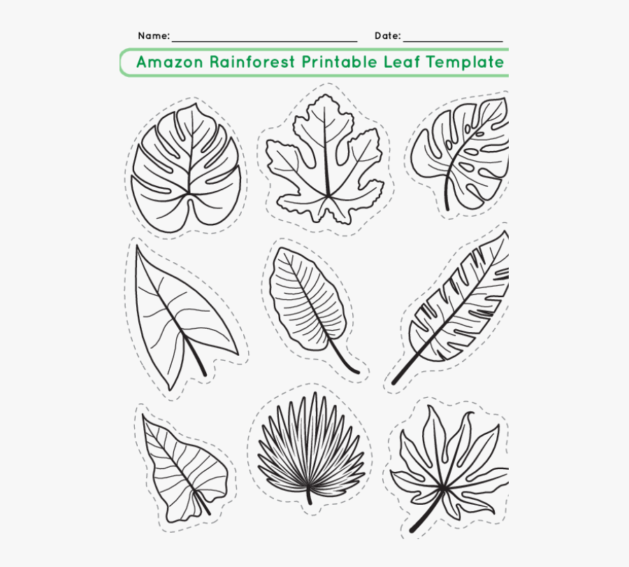 Amazon Rainforest Leaf Template Free Transparent Clipart ClipartKey