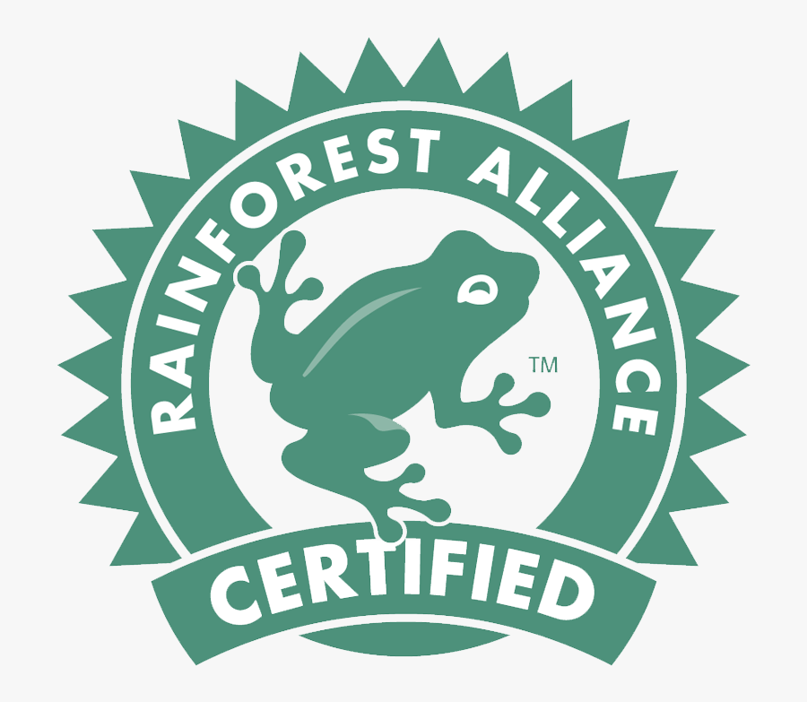 Rainforest Clip Art, Transparent Clipart